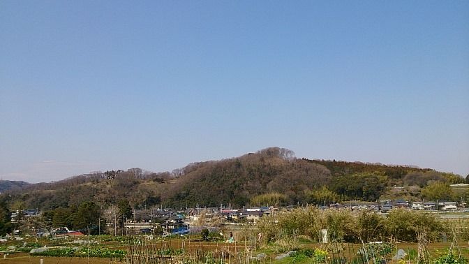 イメージ 5