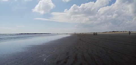 IMG_20241014_110241