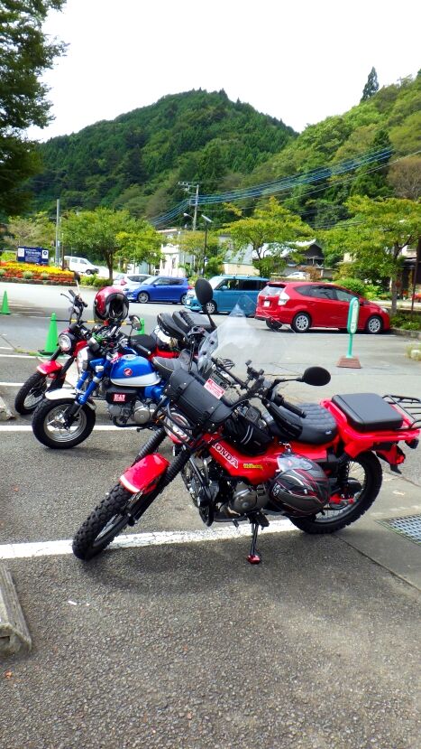 RIMG8639