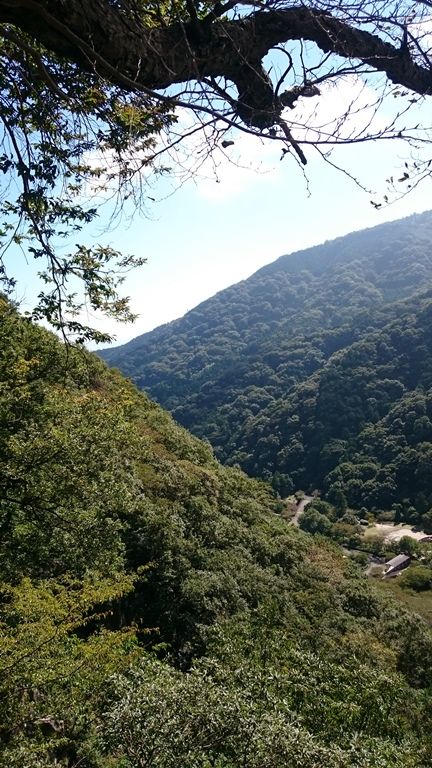 イメージ 9