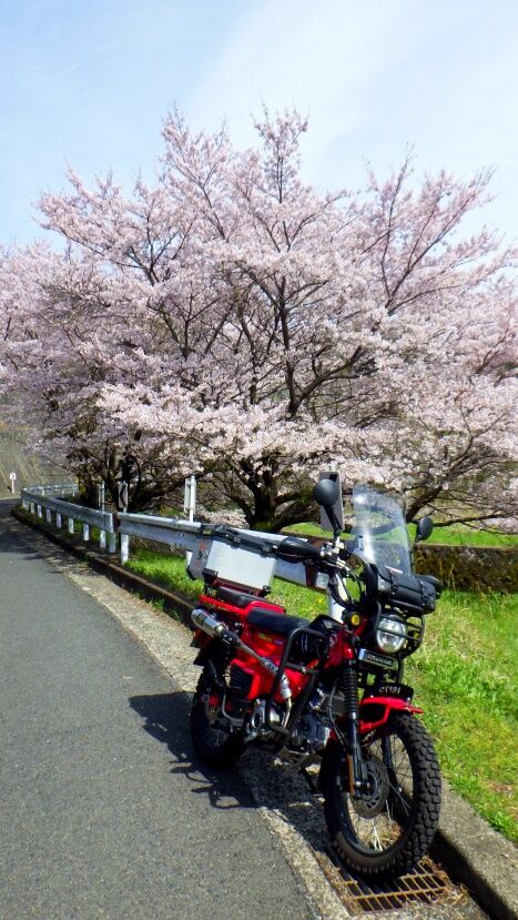 RIMG6205