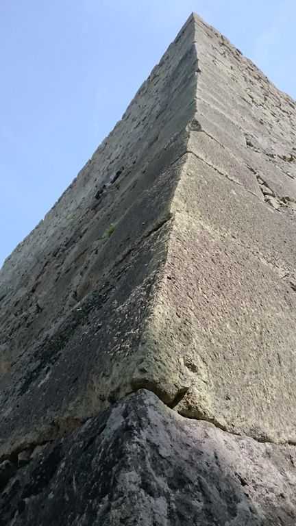 イメージ 11
