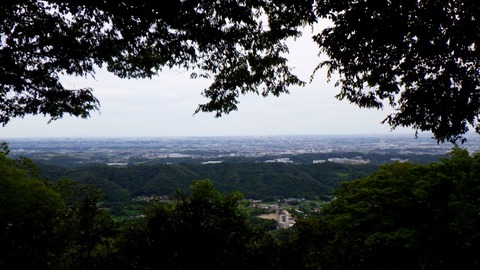 RIMG7659