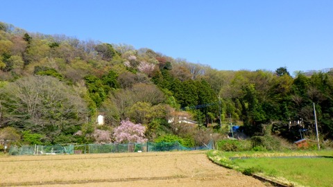 RIMG6561