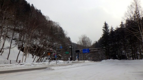 RIMG2975