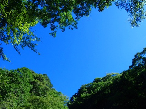 P8060020