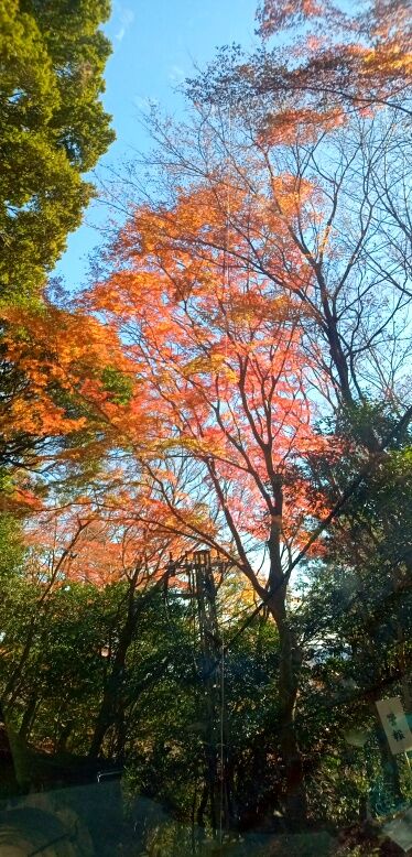 batch_IMG_20251207_115054