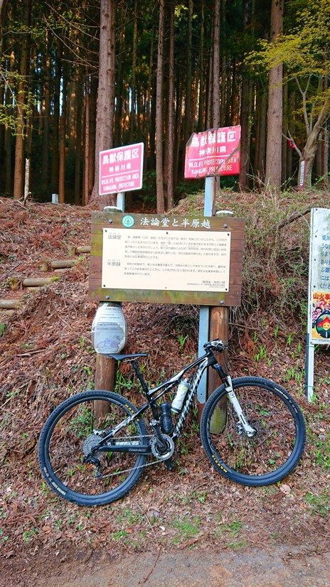 イメージ 10