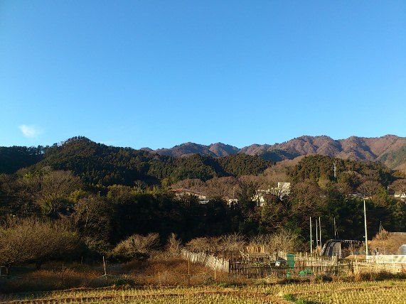 イメージ 2
