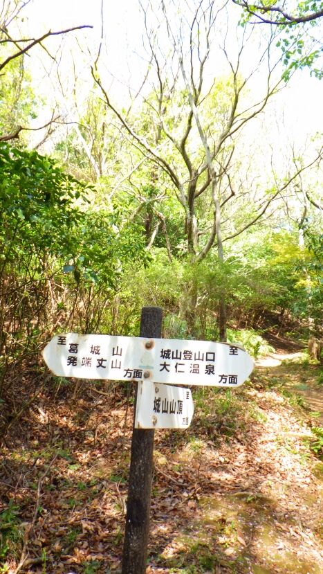 RIMG3536