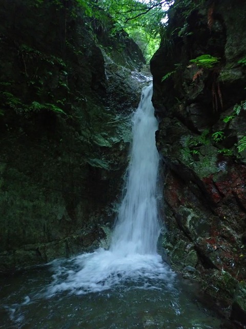 P7010028