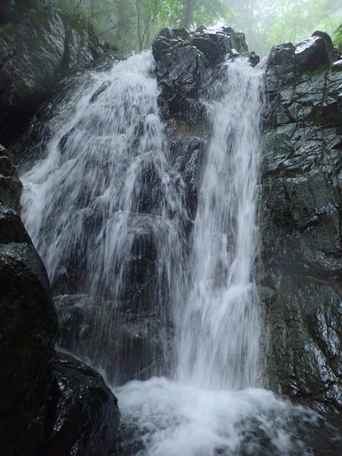 P7010060