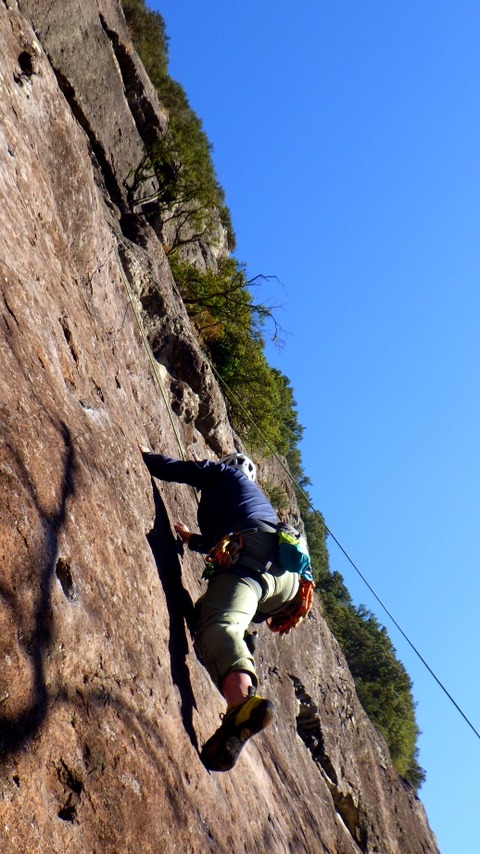 RIMG0528