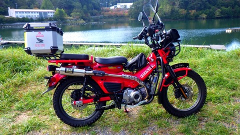 RIMG9441