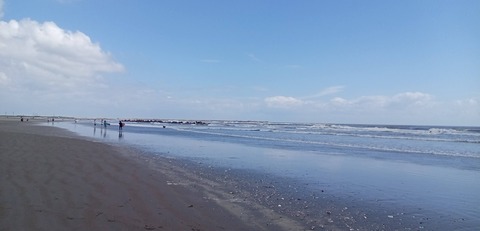 IMG_20241014_110245