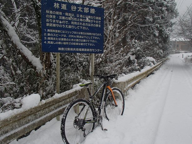 イメージ 5