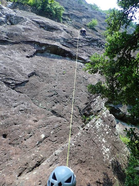 P6200025
