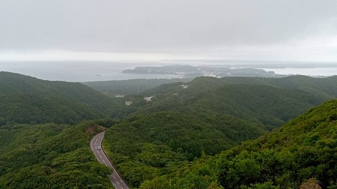 DSC_0443