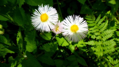 batch_RIMG6956