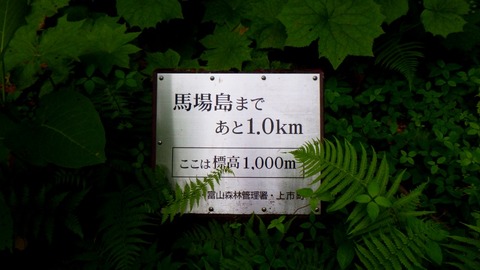 batch_RIMG8202