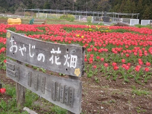 イメージ 1