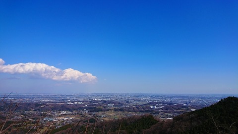 DSC_1768