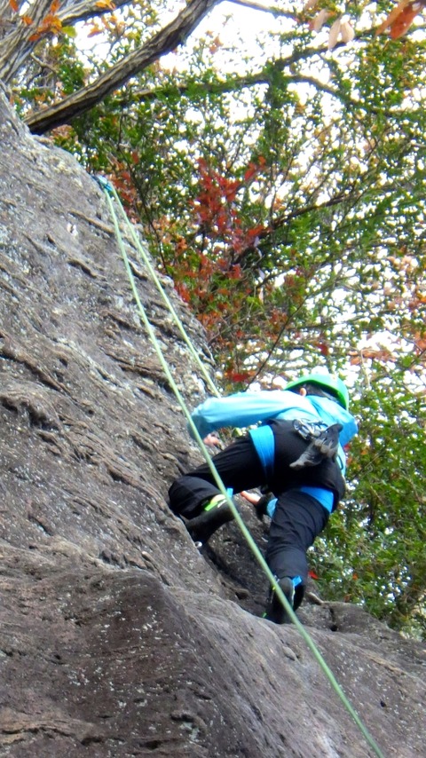 RIMG0270
