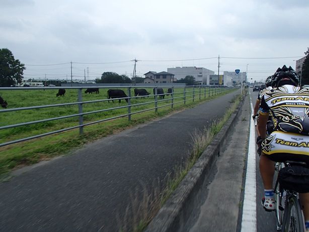 イメージ 5