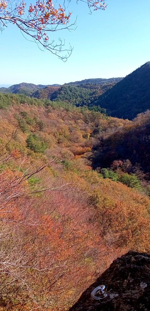 batch_IMG_20231108_123403