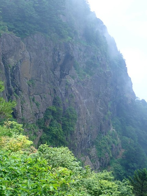 P8020001