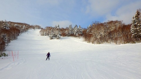 RIMG1553