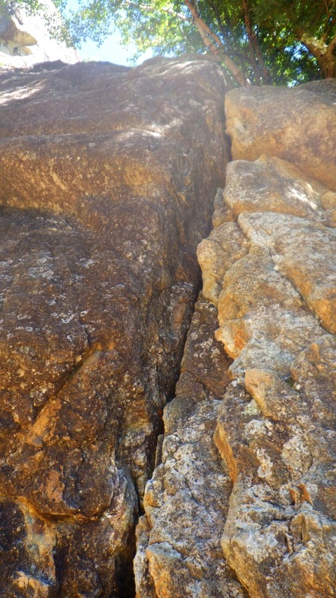 batch_RIMG0659