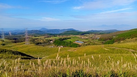 DSC_2798