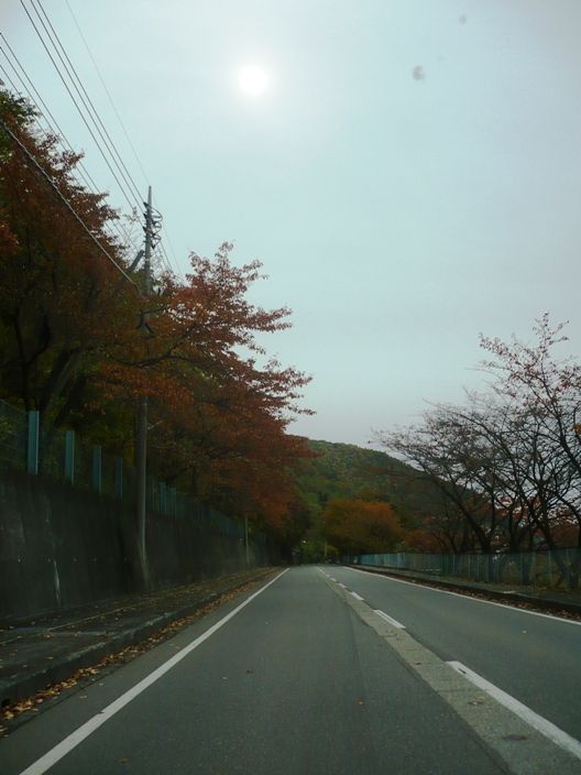 https://livedoor.blogimg.jp/js1ktr/imgs/5/d/5d2ee10e.jpg