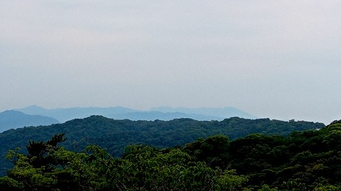 DSC_1012