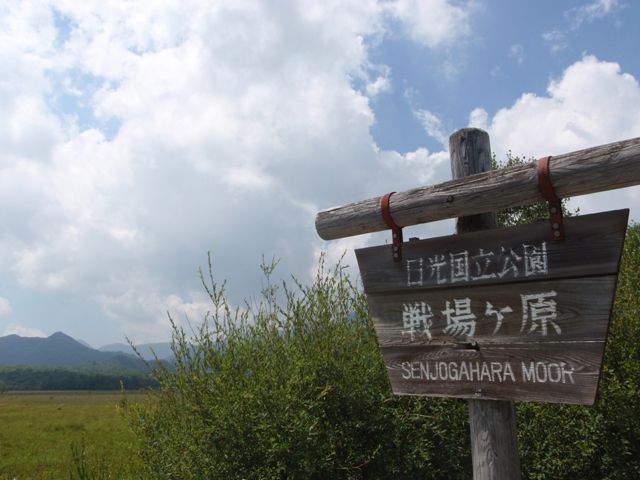 イメージ 8