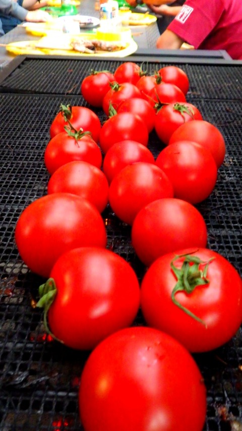 batch_RIMG5515