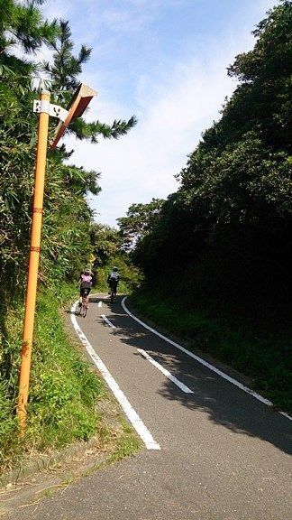 イメージ 14