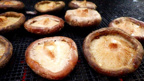 batch_RIMG5510