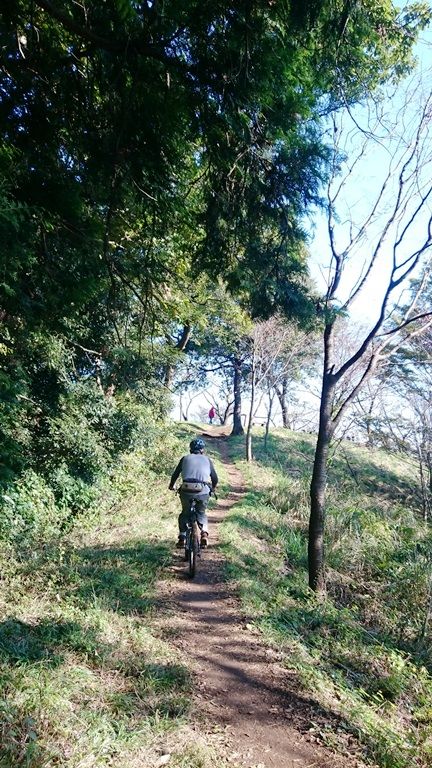 イメージ 14