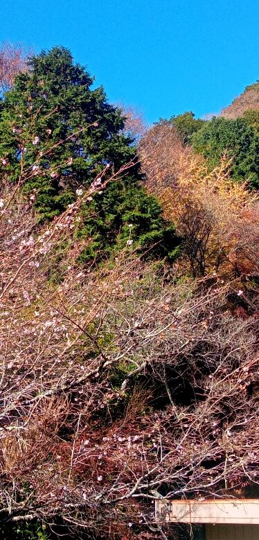 batch_IMG_20251207_130814