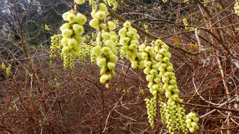 batch_RIMG5967