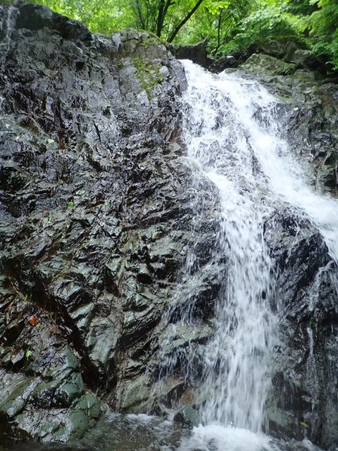P6090047