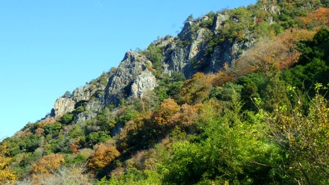 RIMG0854