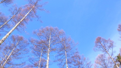 RIMG5558