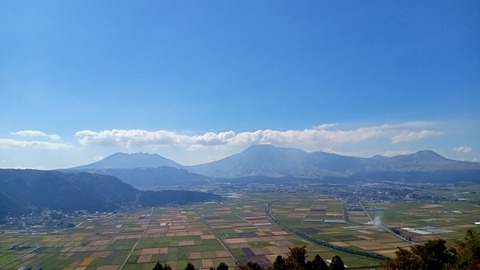 DSC_2831
