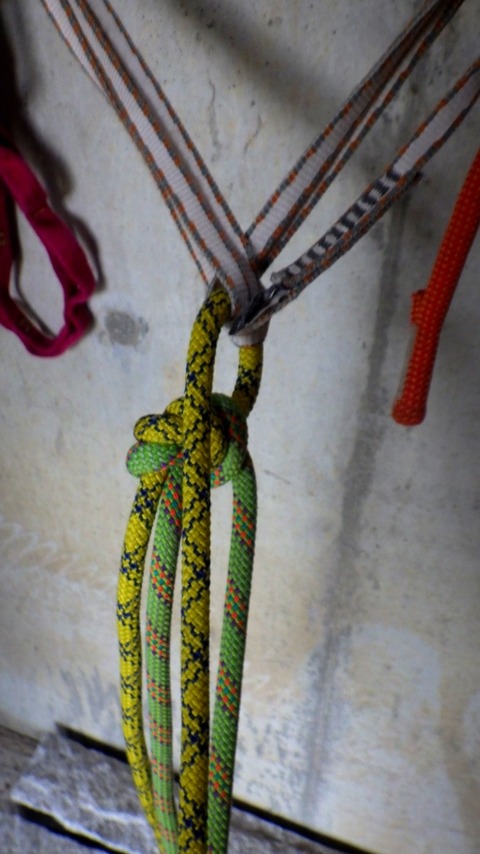 RIMG0935