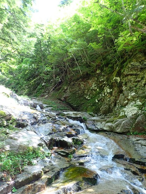 P8060134