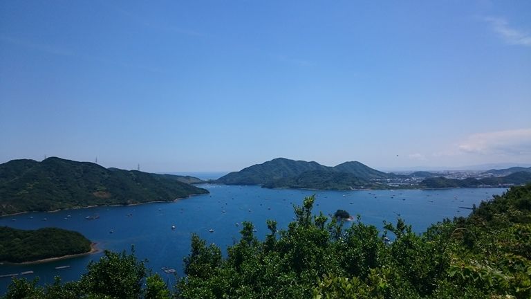 イメージ 12