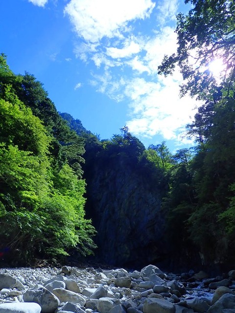 P8060038
